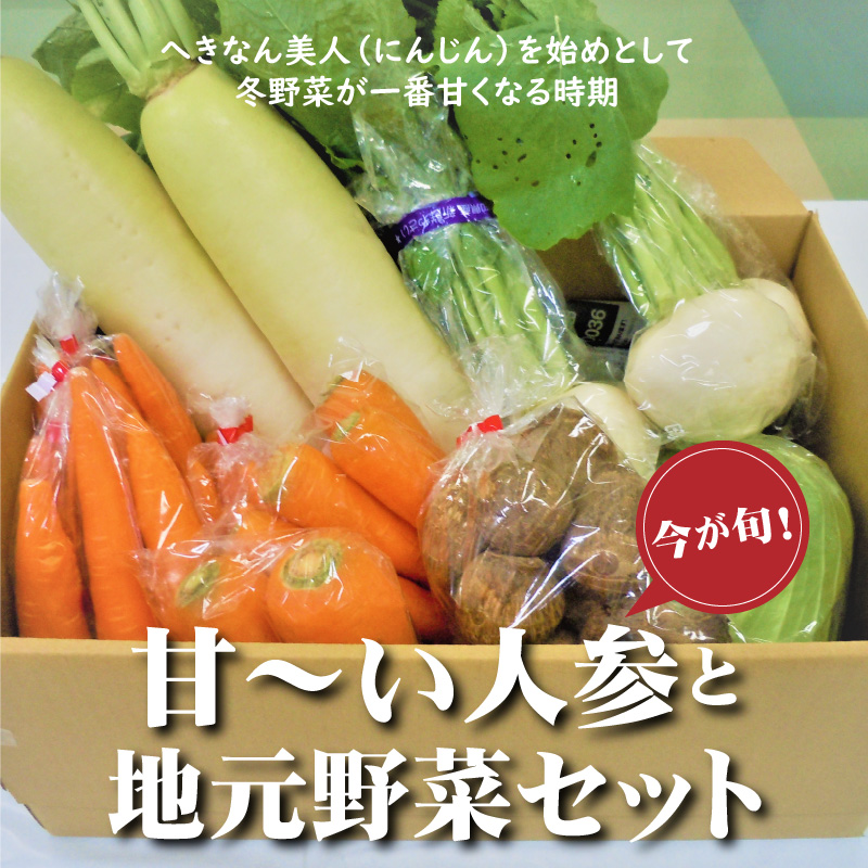 今が旬！甘～い人参と地元野菜セット　H025-010