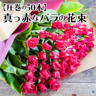 【圧巻の50本】真っ赤なバラの花束　H092-048