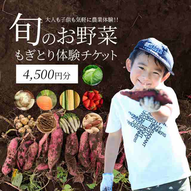 旬のお野菜・もぎとり体験チケット 4,500円分　H025-011